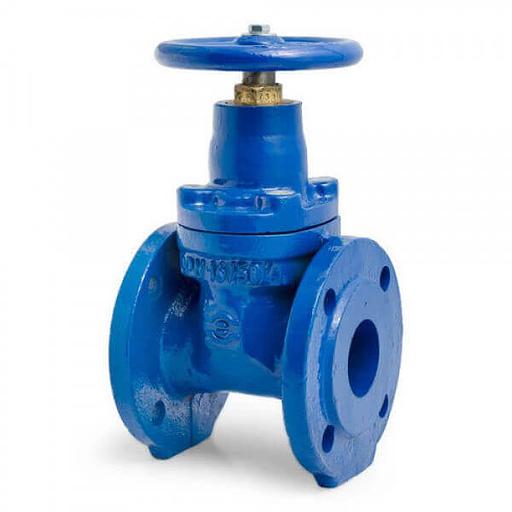 Задвижка чугунная МЗВ обрезиненный клин Ду 65 Ру16 до +75 фланцевая Завод им Гаджиева фото 1