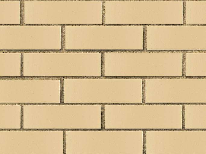Кирпич облицовочный ЛСР бежевый гладкий, утолщенные стенки, 250*120*65 мм фото 1