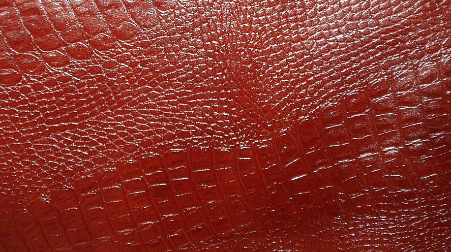 Кожа Натуральная. Флотер Кайман Красный фото 1
