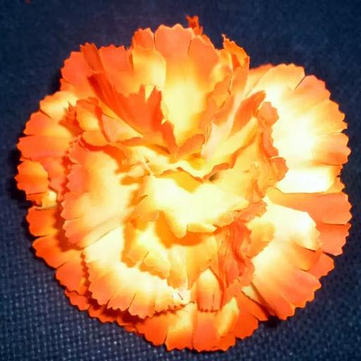 Головка гвоздики бархат 5 слоёв 10см 072-016-004-001 1/50 фото 1