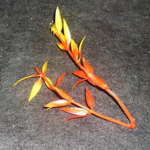 Добавка на ветку 10см #012 1400шт/кг фото 1