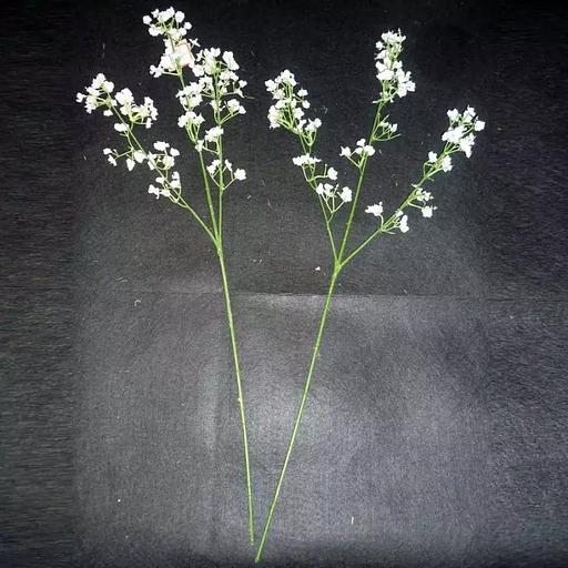 Тройная ветка с мелкими цветами гипсофила 898-3 62см фото 1