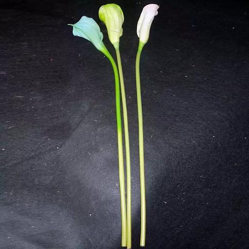 Ветка каллы латекс 886-2 52см фото 1