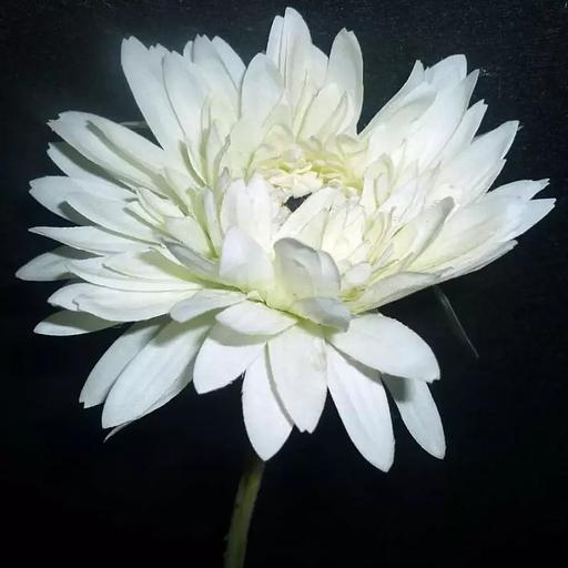 Ветка астры на гибкой ветке 886-1 фото 3