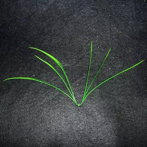 Добавка на ветку травка 15см 540шт/кг фото 1