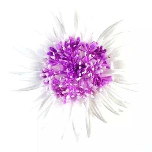 ИЛАНА Голова астры 13см 1/14 фото 1