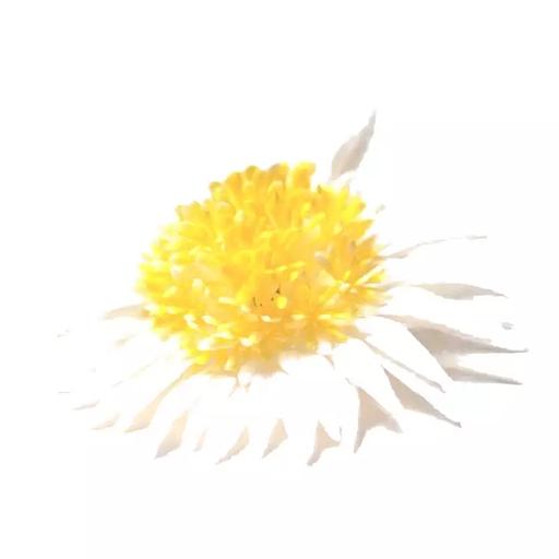 ИЛАНА Голова астры 13см 1/14 фото 4