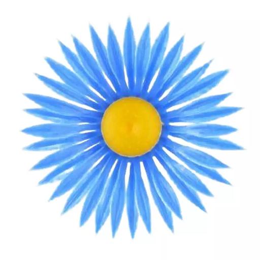 СИНТИЯ Астра мини (917шт/кг) 5,5см 1/50 фото 1