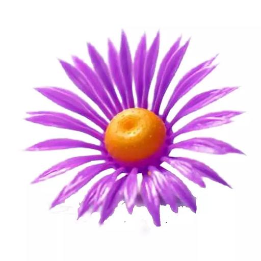 СИНТИЯ Астра мини (917шт/кг) 5,5см 1/50 фото 3