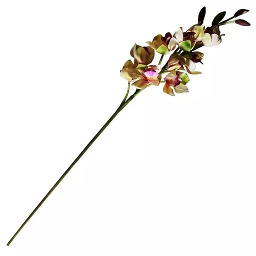 Интерьерное растение 886-24 105-115см фото 3