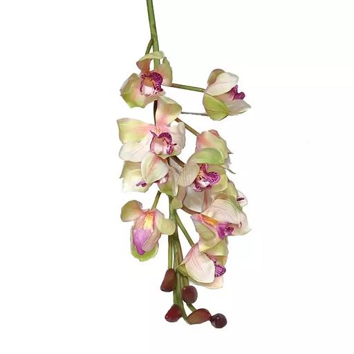 Интерьерное растение 886-24 105-115см фото 5