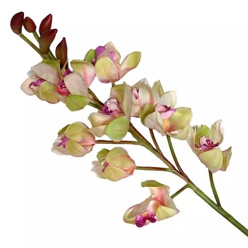 Интерьерное растение 886-24 105-115см фото 7