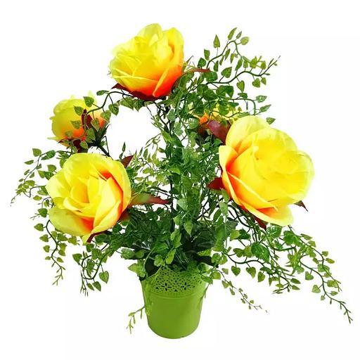Цветы в горшке 5 роз с густой зеленью фото 1