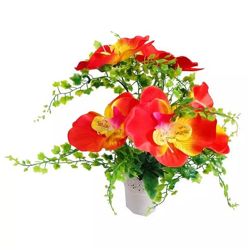 Цветы в горшке 5 орхидей с густой зеленью фото 1