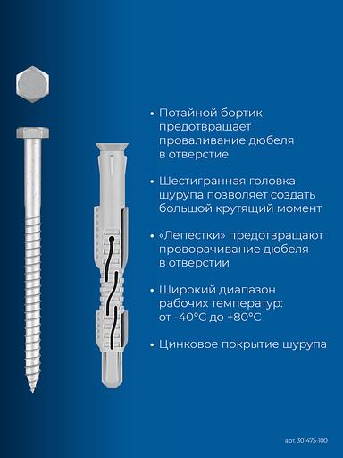 ЗУБР ФД-П 10 x 100 мм, фасадный дюбель, нейлон/цинк, 50 шт (301475-100) фото 4