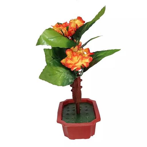 Цветы в горшке 5 фиалок с тройными листьями фото 1