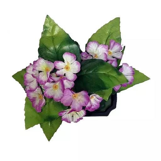 Цветы в горшке 5 фиалок с тройными листьями фото 3