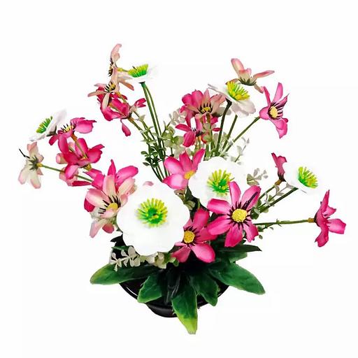 Цветы в горшке Мелкие и средние цветочки фото 1