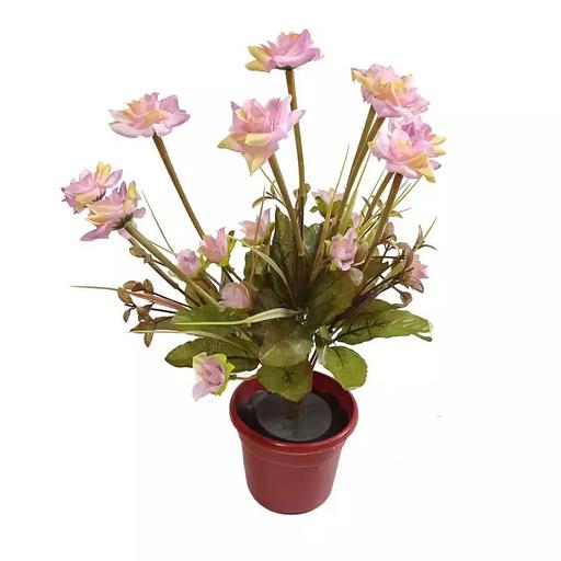 Цветы в горшке 9 роз с мелкими розочками фото 1