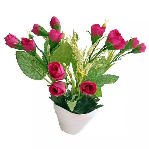 Цветы в горшке крокусов с зеленью фото 1