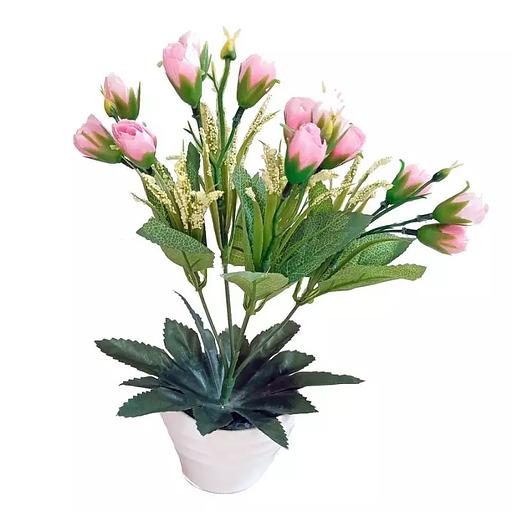 Цветы в горшке крокусов с зеленью фото 2