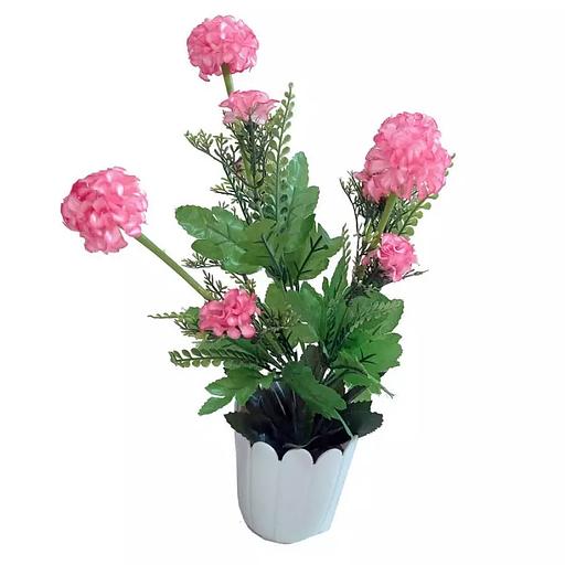 Цветы в горшке Шафранчиков с зеленью фото 1