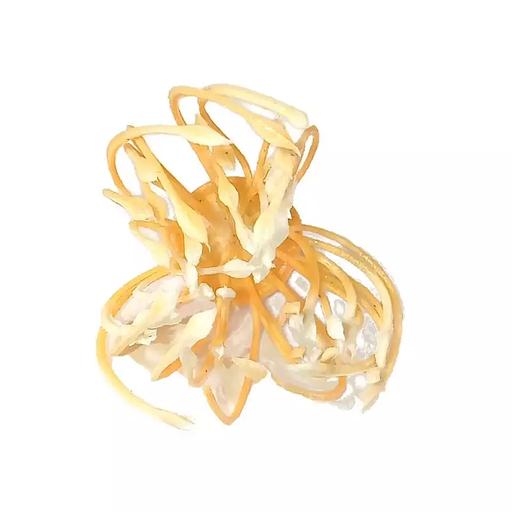 Добавка тычинка густая жёлтая с белыми кончиками с ножкой 5,5см 538шт/кг фото 2