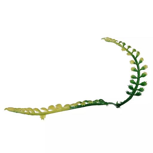 Добавка на ветку двойная папоротник зелёно-жёлтая 15,5см 814шт/кг фото 2