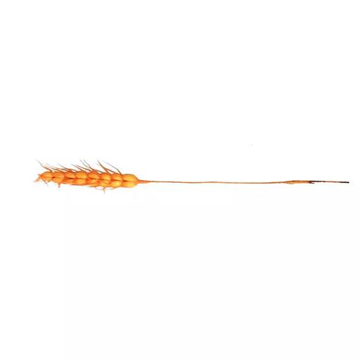 Колосок искусственный пшеница фото 1