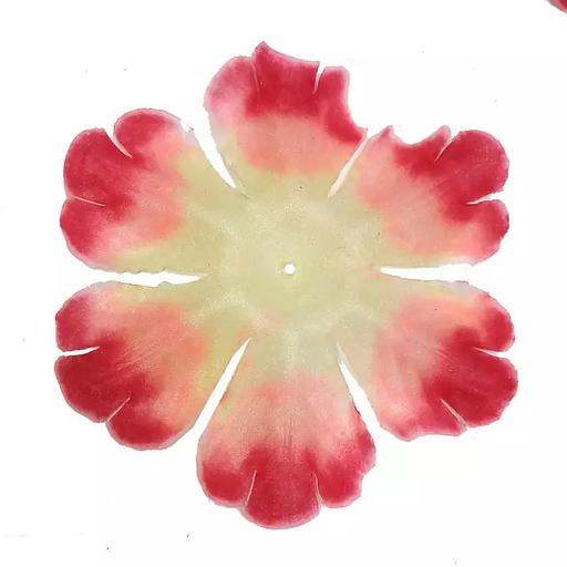 Заг-ка для георгина YZ-48 розового с борд. кантом 1 слой 12,5см 1493шт/кг фото 1