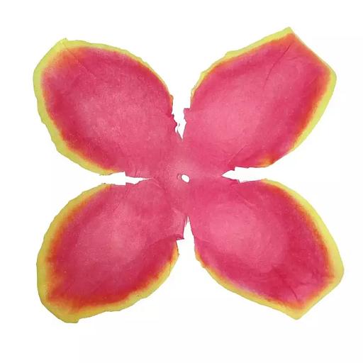 Заг-ка для розы YZ-8 бордовой с жёлт.кантом 4-кон. малый узкий 10-12,5см 1546шт/кг фото 1