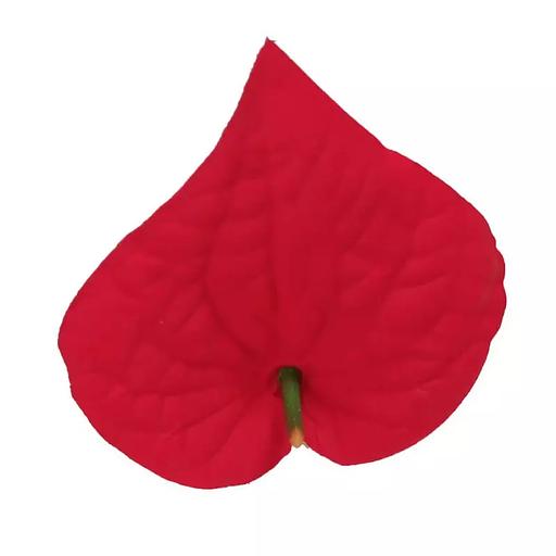 Головка каллы Фаек 1сл 14см 453-264-263 1/30 фото 1