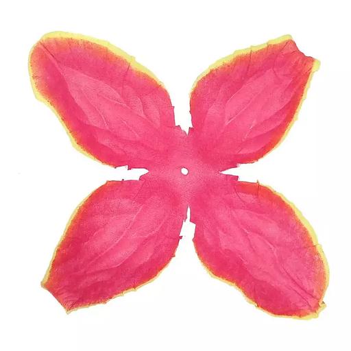 Заг-ка для розы YZ-5 оранжевой с жёлт.кантом 4-кон. малый узкий 10-13,5см 1692шт/кг фото 1