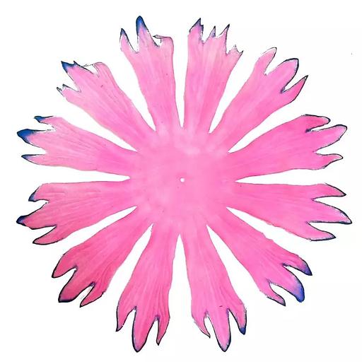 Заг-ка для хризантемы YZ-10 розовой с син.кантом 18,5см 582шт/кг фото 1