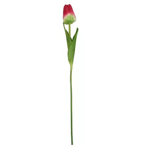 Тюльпан одиночный 6x8,5см с двойным листом 60см фото 4