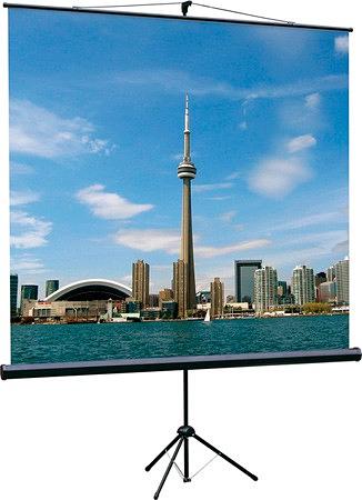 Экран на треноге Lumien 200x200см Eco View LEV-100103 1:1 напольный рулонный фото 1