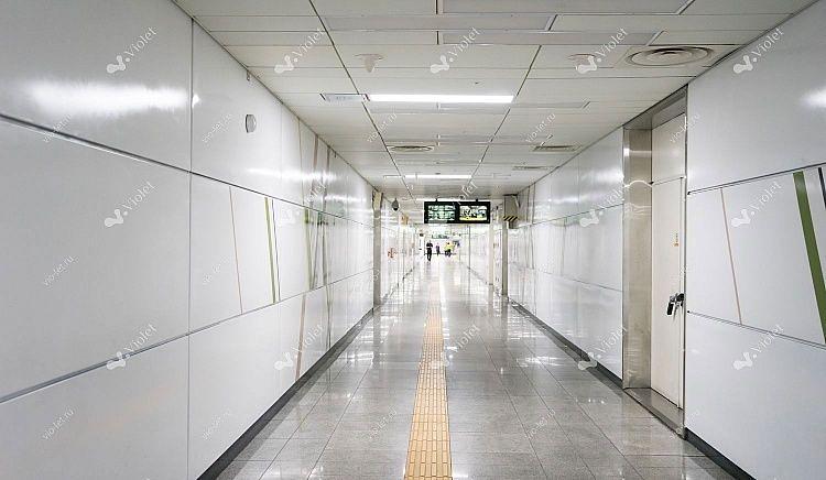 Негорючие панели СМЛ полимер (2440*1220*6) фото 1