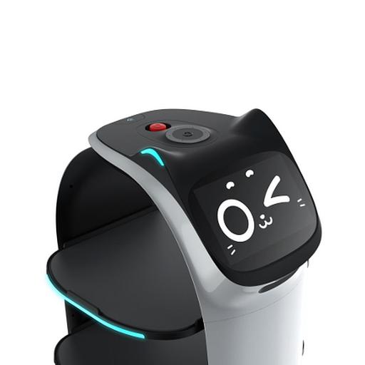 BellaBot Advanced with face recognition(BL101) фото 5