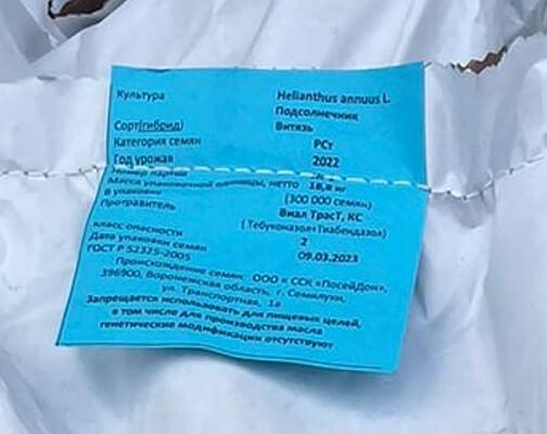 Гибрид семян подсолнечника «ПОСЕЙДОН» фото 2