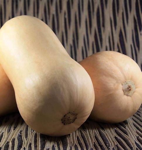 Семена тыквы Enza Zaden «Тиана» F1 опт фото 1