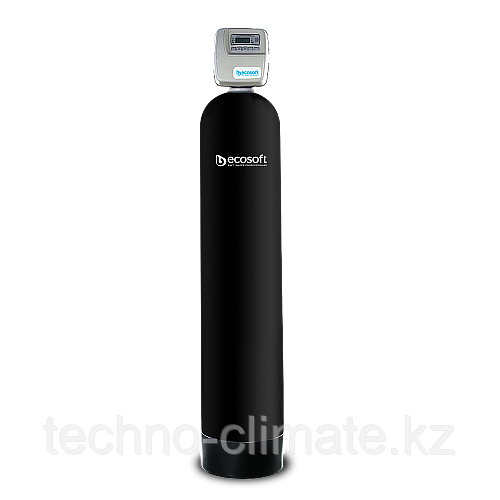 Фильтр для удаления хлора Ecosoft FPA 1465 CT фото 1
