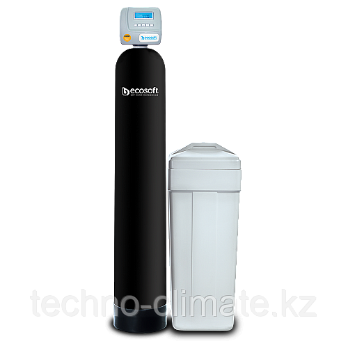 Фильтр комплексной очистки воды колонного типа Ecosoft FK 1252 CE Mixa фото 1