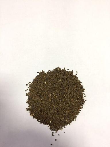 Семена Фацелии опт фото 1