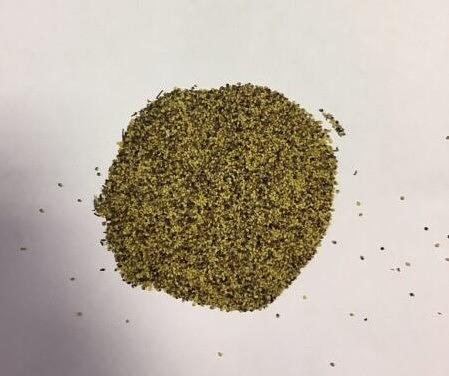 Семена Клевера лугового «Трио РС-1» опт фото 1