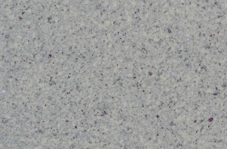 Каменное покрытие «Petrograd» 6558 фото 1