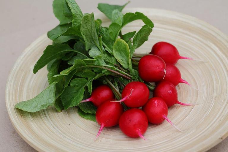 Семена редиса «F1 Рембо» опт фото 1