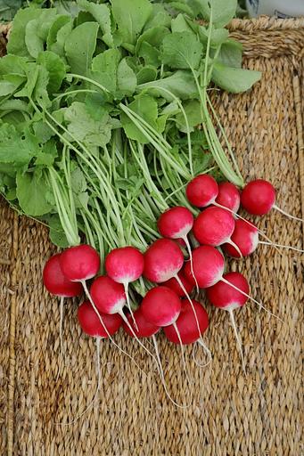 Семена редиса «Белокрайка» опт фото 1