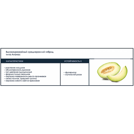 Семена дыни F1 «Гривна» опт фото 2