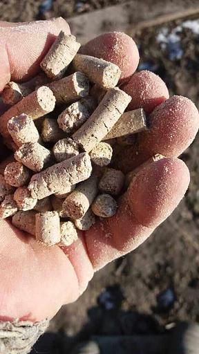 Гранулированное сено из лугового разнотравия d8 мм фильеры матрицы опт фото 1