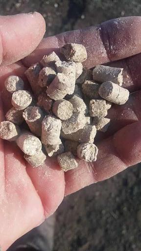 Гранулированное сено из лугового разнотравия d8 мм фильеры матрицы опт фото 2